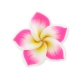 Fleur Fimo 20 mm Hot Pink x1