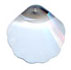 Coquillage 6723