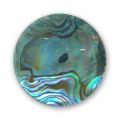 Cabochon Abalone 25 mm bleu x1