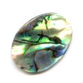Cabochon Abalone 18x13 mm naturel x1