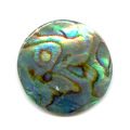 Cabochon Abalone 20 mm naturel x1