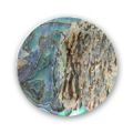 Cabochon Abalone 25 mm naturel x1