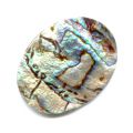 Cabochon Abalone 25x18 mm naturel x1