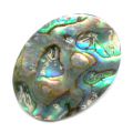 Cabochon Abalone 30x22 mm naturel x1