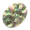 Cabochon Abalone 40x30 mm naturel x1
