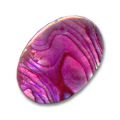 Cabochon Abalone 18x13 mm rose x1