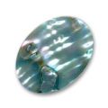 Cabochon Abalone 25x18 mm vert x1