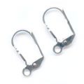 Dormeuses  argent� x2