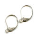 Dormeuses en Argent 925 x2