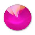 Cabochon 1122 Rivoli 16 mm Crystal Ultra Pink