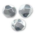 Facettes 2 mm Labrador x50