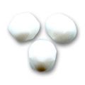 Facettes 2 mm Opaque White x50