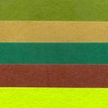 Assortiment de rectangles de feutrine 3 mm 21x15 cm Vert x5