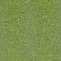 Poudre � embosser Grass x 25 ml