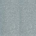 Poudre � embosser Silver x 25 ml