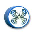 Palets Fimo 10x4 mm blanc/bleu x15