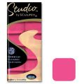 P�te Studio by Sculpey 79gr Frapp� aux framboises (n�6319)