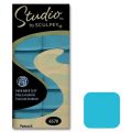 P�te Studio by Sculpey 79gr Paon (n�6570)