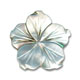 Fiori