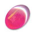Cabochon ovale 18x13 mm Fuschia/Gold x1