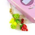 Kit Fruit Charm & Strap Fruits Garden Strap