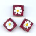 Carr� 10 mm Siam x1