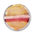 Palet 21 mm feuille d'or Pink x1