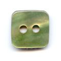 Bouton Nacre carr� 10 mm Vert x1