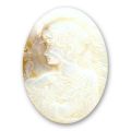 Cam�e Nacre 40x30 mm Naturel x1