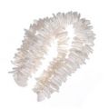 Eclats de coquillage blanc