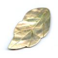 Feuille Nacre 48x24 mm Naturel x1