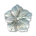 Fleur Nacre 23 mm Naturel iris� x1