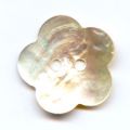 Lot de 12 Boutons Nacre Fleur 20 mm Naturel