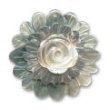 Fleur Nacre 38 mm Naturel gris iris� x1