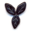 Feuilles 10x6 mm Jet x25