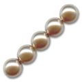 Rondes nacr�es 8 mm Bronze x25