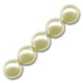 Rondes nacr�es 8 mm Cream x25