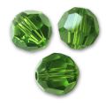 Rondes 5000 3 mm Fern Green x20
