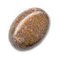 Cabochon ovale 18x13 mm Jaspe Chrysanth�me