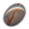 Cabochon ovale 25x18 mm Jaspe Poppy Gris