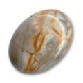 Cabochon ovale 18x13 mm Jaspe Picasso