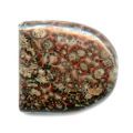 Cabochon 26x24 mm Leopard