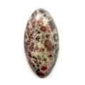 Cabochon ovale 30x15 mm Leopard