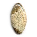 Cabochon ovale 30x15 mm Jaspe Paysage