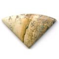 Cabochon �ventail 24x38 mm Jaspe Paysage