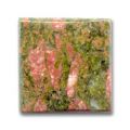 Cabochon carr� 28 mm Unakite