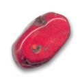 Red Coral 30x20 mm