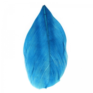 Plumes 6 cm Bleu Pétrole x3gr