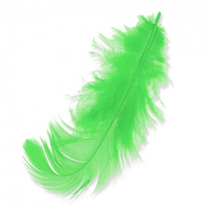 Plumes 8 à 12 cm Vert Anis x3gr
