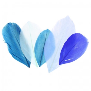 Assortiment de plumes 6 cm Camaïeu Bleu x10gr
